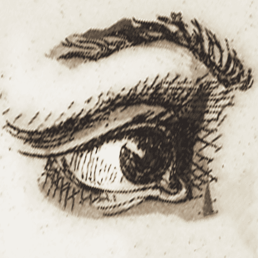 Charlotte Massip Papier Peints